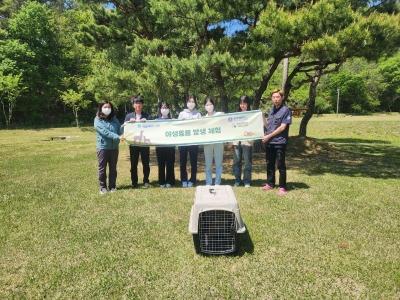 야생동물구조관리센터, 수리부엉이 치료 후 자연 방생 게시글 썸네일