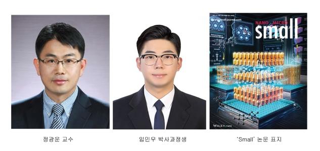 정광운 교수팀, 상대이온에 따른 나노구조체 제어기술 개발 게시글 썸네일