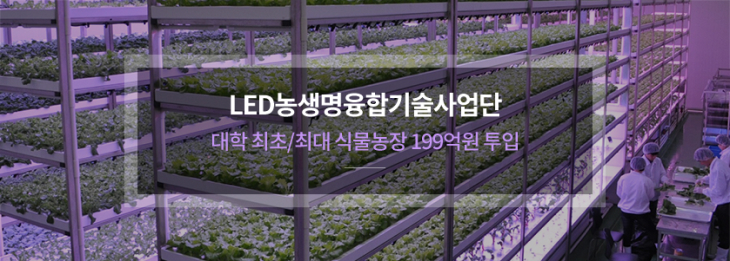 LED농생명융합기술사업단 대학최초/최대 식물농장 199억원 투입